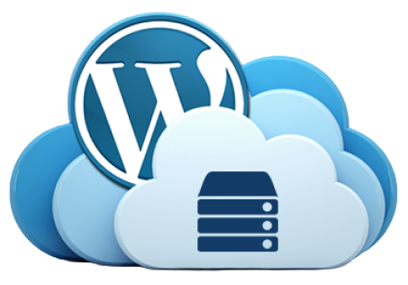 هاست وردپرس